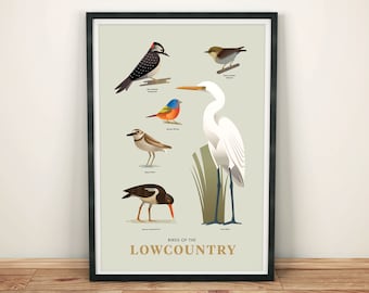 Birds of the Lowcountry Art print  | Ornithology | Unframed