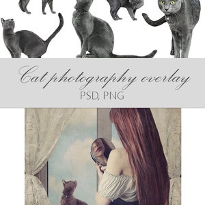 Cat Photography Overlays: Black Cat Photo Effects (PSD, PNG)