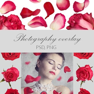 May include: A woman with her eyes closed is surrounded by red rose petals. The image is a photography overlay, with the text "Photography overlay PSD, PNG" at the top.