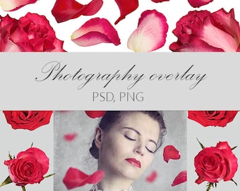 Falling Red Rose Petals Photo Overlays (PSD, PNG)