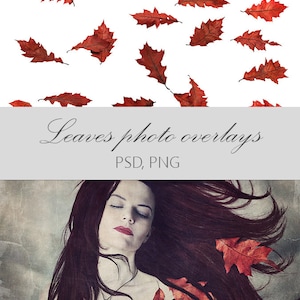autumn leaves overlays, digital overlay, falling leaves, fall leaves overlay, autumn leaf, photography overlay, digital scrapbook