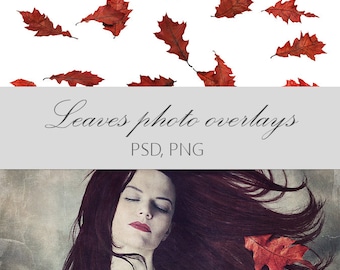 Falling Autumn Leaves Photo Overlays (PNG, PSD)