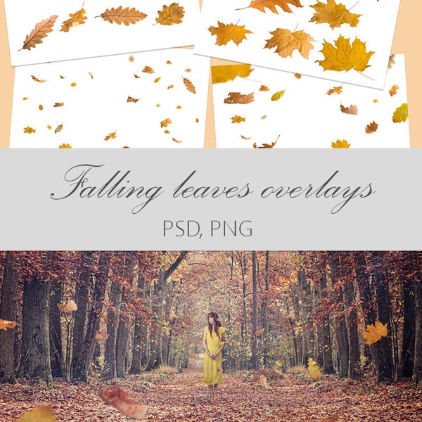 falling leaves overlays, digital overlay, autumn overlays, leaf overlay, photo leaves, photography overlays, digital scrapbook