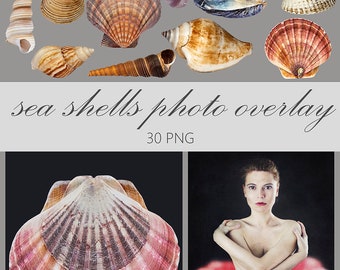 sea shells overlay, seashell photography, summer overlays, Photo overlay, digital overlay, photography overlay, beach overlay