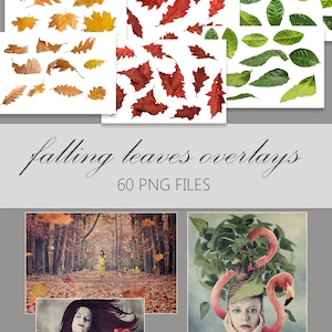 Falling leaves photo overlays bundle, photography overlay, autumn leaves, leaf overlay, digital overlay, fall overlay, autumn overlay