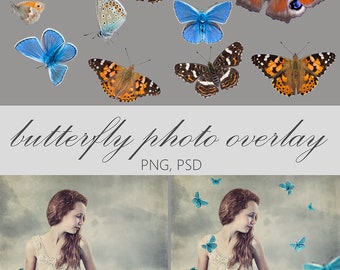 Blue Butterflies Photo Overlays: Photography Digital Overlay (PSD, PNG)