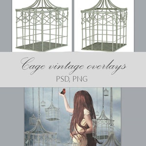 cage digital overlay, digital overlay, digital cage, vintage overlay, Bird cage overlay, photography overlay, vintage photos, photo overlay