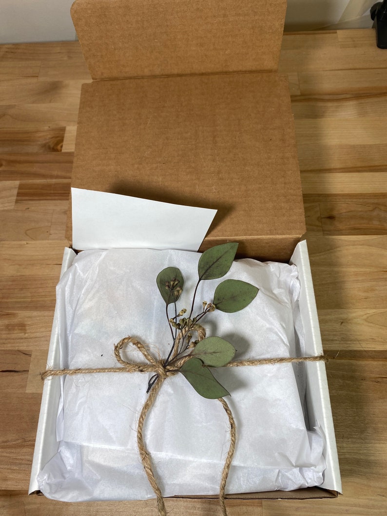 May include: A white gift box with a brown twine bow and a sprig of green eucalyptus leaves. The box is filled with white tissue paper.