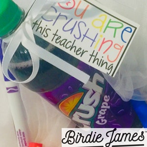 May include: A purple grape-flavoured drink with a white ribbon and a tag that says "You are crushing this teacher thing". The drink is in a clear plastic bag with a white ribbon. There are also markers and a small orange stick in the bag. The bag is on a white surface. The text "Birdie James Embroidery" is at the bottom of the image.