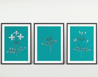 Set of 3 Jasmine A4 Giclee Art Prints - Art prints - Botanical Art