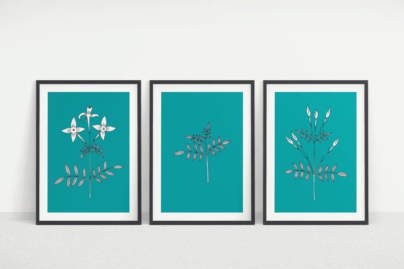 Set of 3 Jasmine A4 Giclee Art Prints Art prints Botanical Art image 1