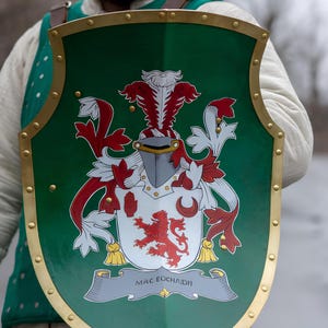 Op de afbeelding: Een groen schild met een gouden rand en een wapenschild met een rode leeuw, witte bloemen en de tekst "Mac Eochaidh".