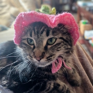 Flower hat for cats, small pet hat, pet costume, flower hat, pet clothing, pet costume,Crochet Flower Cat Hat,Cute Pet Costume,Photo Prop