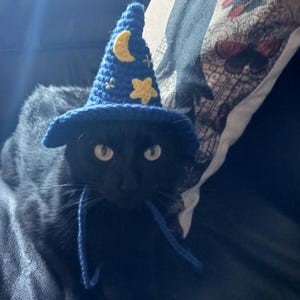Crochet Cat Wizard Hat: Halloween Pet Costume