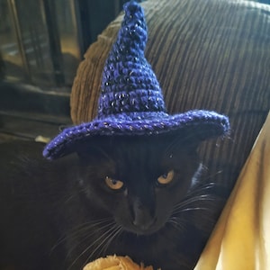 Crochet Cat Witch Hat: Halloween Pet Costume