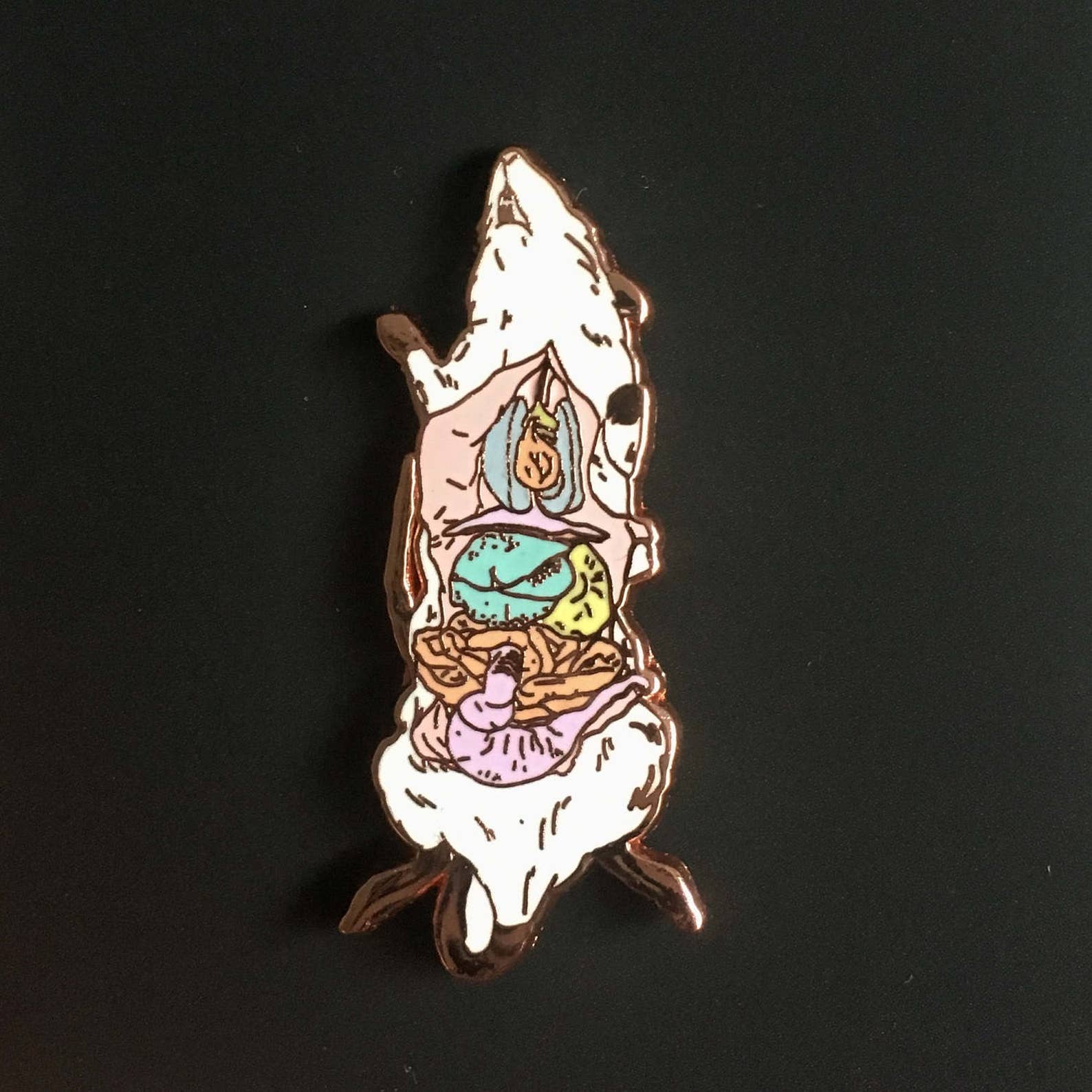 Dissected Rat Enamel Pin Science Pin lapel Pin anatomy Etsy