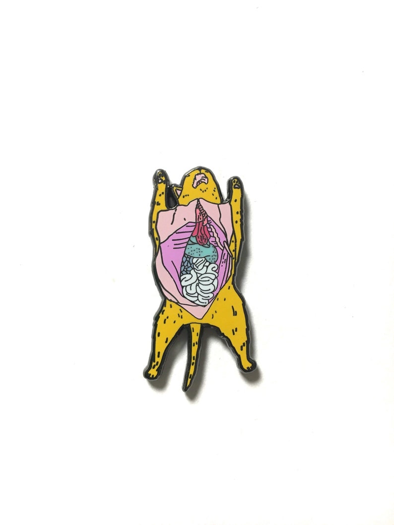 Dissected Cat Enamel Pin image 4