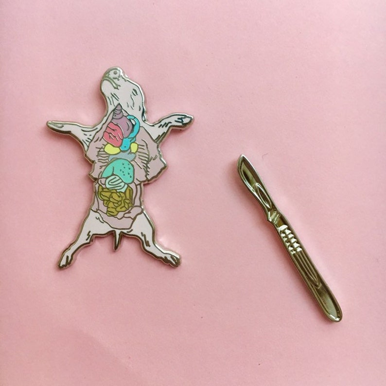 Complete Dissection Pin Set Science Pin lapel Pin anatomy Etsy
