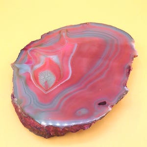 May include: A polished agate slice with a vibrant color palette of red, pink, gray, and white. The natural stone features concentric bands and a rough, dark brown edge. This decorative item is ideal for home decor.