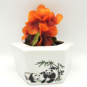 May include: A white hexagonal ceramic planter with a panda bear design. The planter holds vibrant orange flowers. The panda design features two pandas, one resting and the other eating bamboo. The planter is a decorative item.