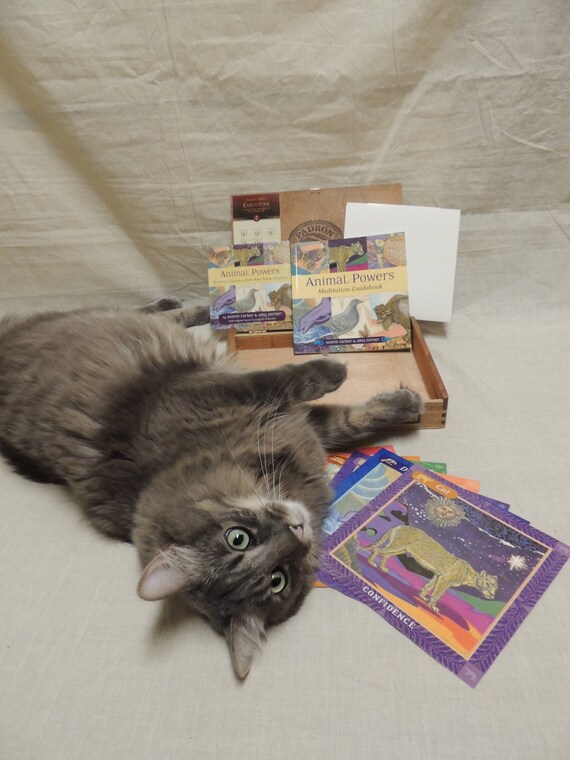Animal Powers Meditation Cards Kit with Padron Cigar Box Carrying Case decoupaged Animal Powers Image.