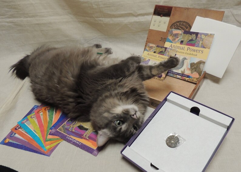 Animal Powers Meditation Cards Kit with Padron Cigar Box Carrying Case decoupaged Animal Powers Image.
