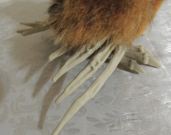 Plush Owl, Partially Decomposed, Macabre, Creepy Stuffed Animal