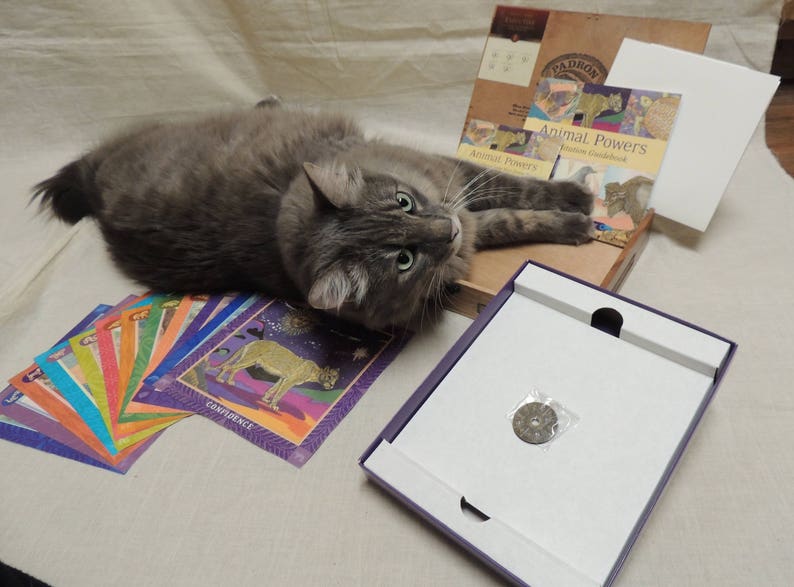 Animal Powers Meditation Cards Kit with Padron Cigar Box Carrying Case decoupaged Animal Powers Image.