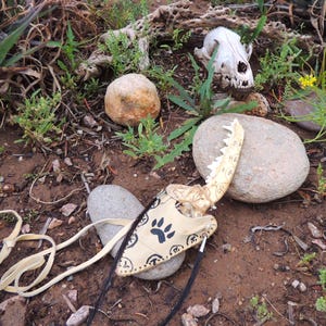 Mohawk Native American Coyote Jawbone Flint Knife.