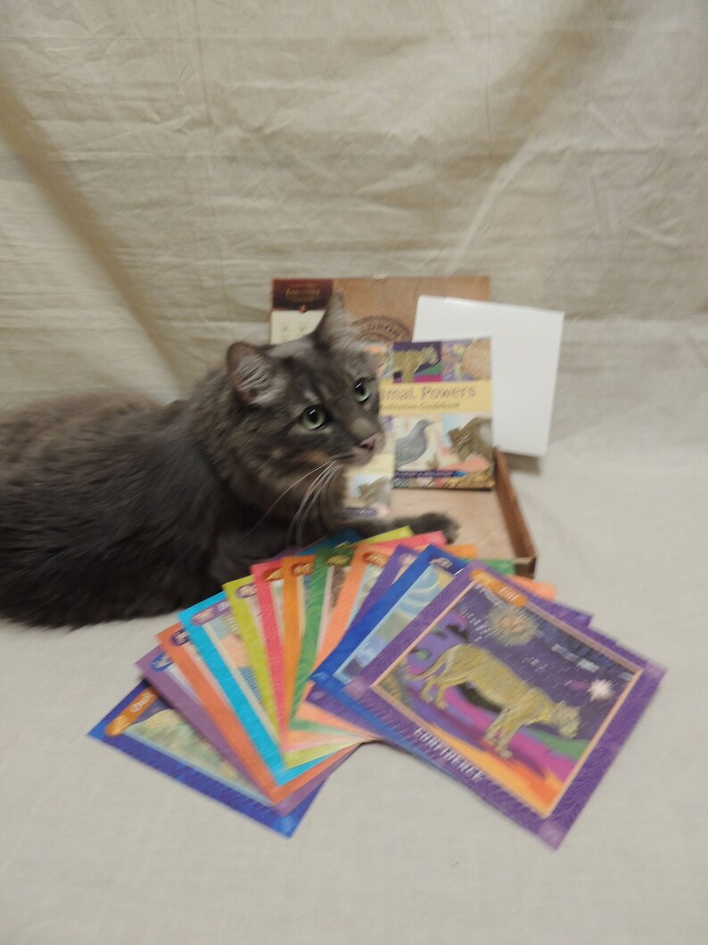 Animal Powers Meditation Cards Kit with Padron Cigar Box Carrying Case decoupaged Animal Powers Image.