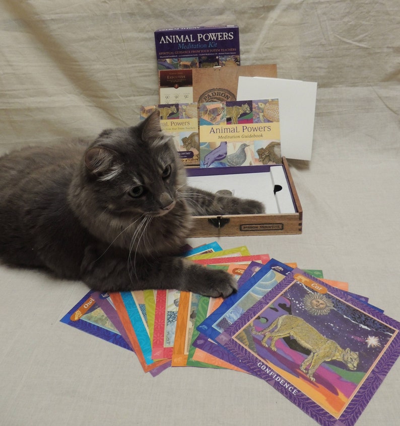 Animal Powers Meditation Cards Kit with Padron Cigar Box Carrying Case decoupaged Animal Powers Image.