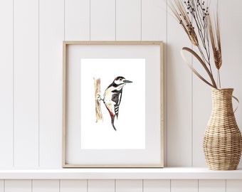 Woodpecker Illustrated Bird Print