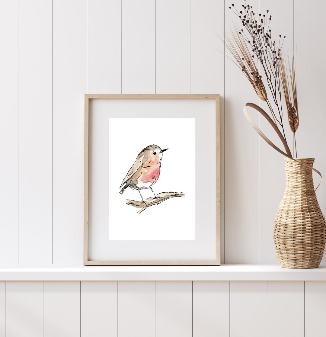 Robin Illustrated Bird Print - Etsy Australia