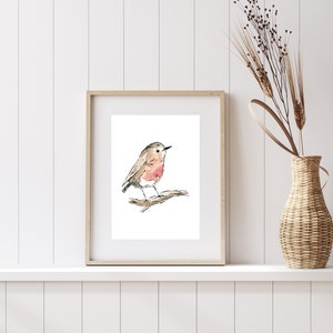 Robin Illustrated Bird Print