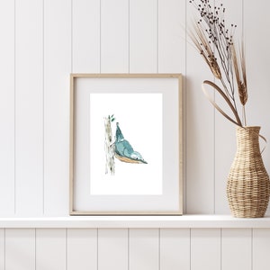 Nuthatch Illustrated Bird Print