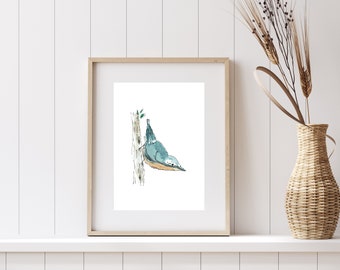Nuthatch Illustrated Bird Print