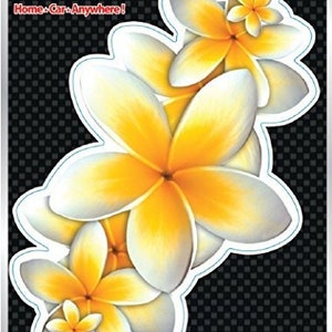 Frangipani bloem Auto Sticker