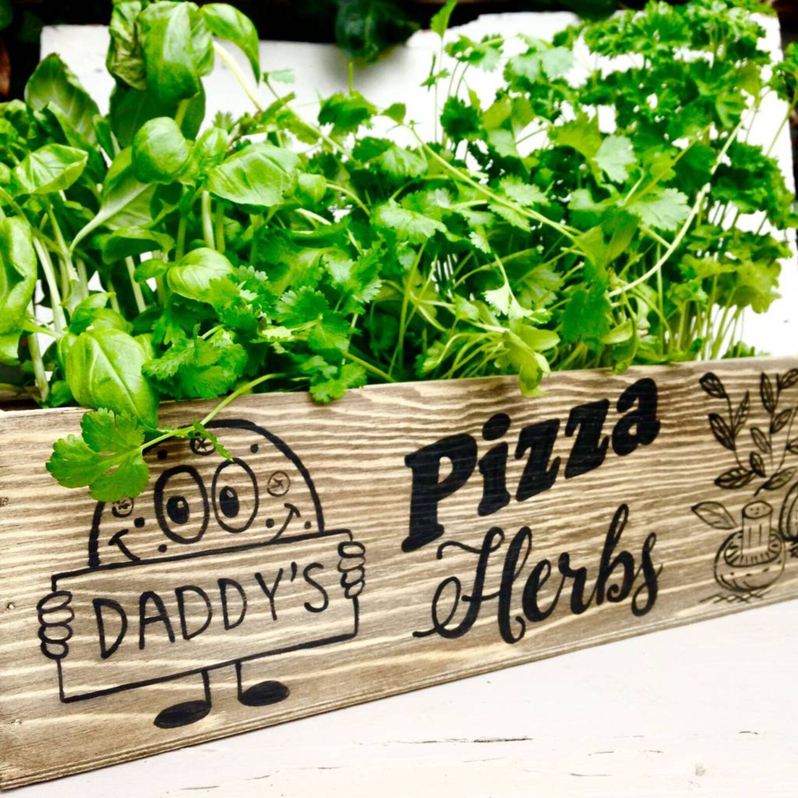 Personalised Pizza Herb Garden Kit Etsy