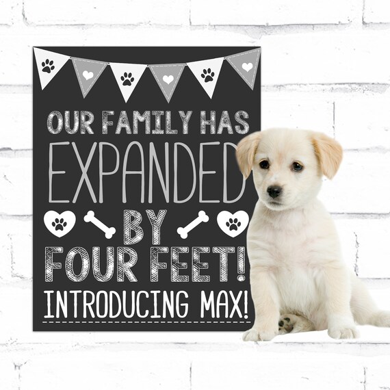 Welcome New Puppy Quotes New Puppy Announcement Sign Chalkboard New Dog Poster | Etsy Uk