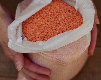 Reusable bulk food bag, bulk bin, flour bag, Set of 3 Large reusable grocery bag, ripstop nylon WHITE