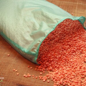 Reusable bulk food bag, reusable grocery bag, ripstop nylon, size large BLUE, bulk bin, flour bag image 2