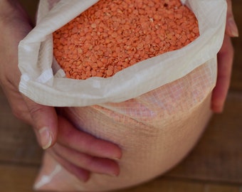 Reusable bulk food bag, bulk bin, flour bag, Set of 3 Large reusable grocery bag, ripstop nylon WHITE
