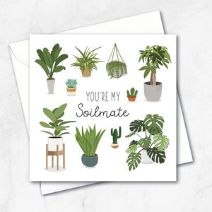 You're my Soilmate | Plant lovers Anniversary Card | Birthday Card | House plants