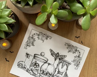 Curio Shelf Art Print