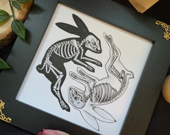 Yin-Yang Rabbit X-Ray Print