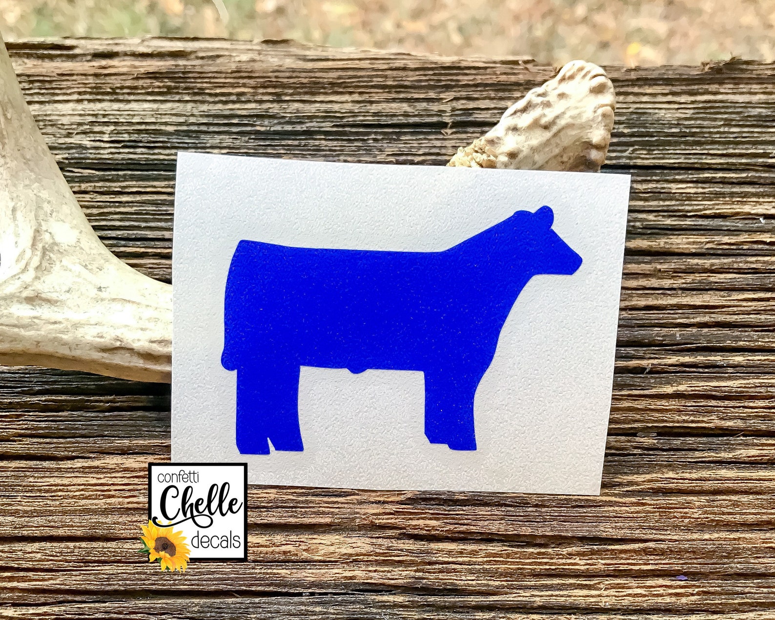 Show Steer Decal . Show Steer . Steer Decal . Personalized Etsy