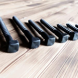 Op de afbeelding: Een set van tien zwarte metalen schroeven met een zilveren afwerking. De schroeven hebben een vierkante kop en een schroefdraad. De schroeven zijn in een rij op een houten oppervlak gerangschikt.