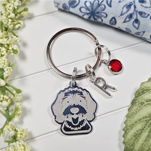 May include: Silver key ring with a dog charm, a red gem charm, and a letter R charm.
