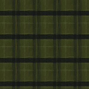 May include: Seamless pattern of a green and black plaid design. The pattern features a grid of intersecting lines, creating a classic plaid or tartan effect. The color palette is dominated by shades of green and black, with subtle variations in tone.