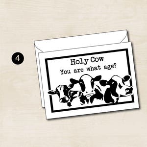 May include: A greeting card with a black and white illustration of three cows. The text on the card reads "Holy Cow You are what age?"